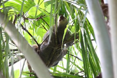 Casa de vacaciones en La Inmaculada (Puntarenas)Casa de vacaciones