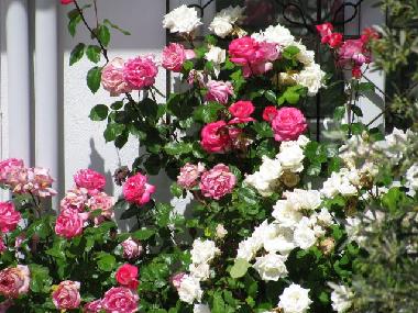 Villa en zml (Mugla)Casa de vacaciones