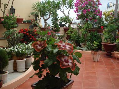 Apartamento de vacaciones en Nha Trang (Khanh Hoa)Casa de vacaciones