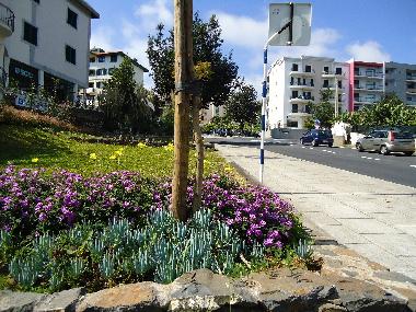 Apartamento de vacaciones en funchal (Madeira)Casa de vacaciones