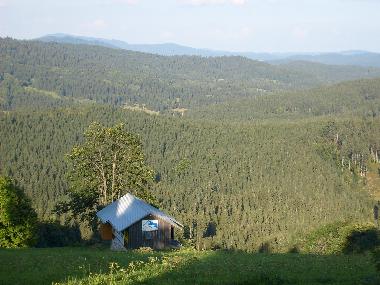 Casa de vacaciones en Mitterfirmiansreut (Mitterdorf) (Budejovicky Kraj)Casa de vacaciones
