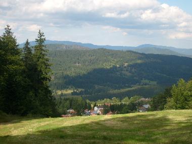 Casa de vacaciones en Mitterfirmiansreut (Mitterdorf) (Budejovicky Kraj)Casa de vacaciones