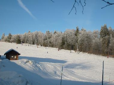 Casa de vacaciones en Mitterfirmiansreut (Mitterdorf) (Budejovicky Kraj)Casa de vacaciones