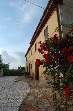 Cama y desayuno en Montecarotto (Ancona)Casa de vacaciones