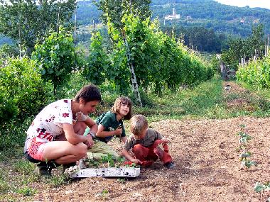 Cama y desayuno en Lucca (Lucca)Casa de vacaciones