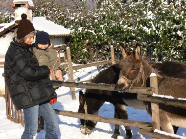 Cama y desayuno en Lucca (Lucca)Casa de vacaciones