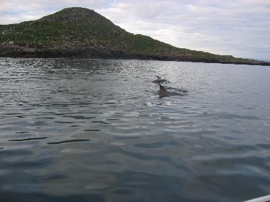 Casa de vacaciones en Caherdaniel (Kerry)Casa de vacaciones