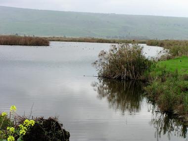 Casa de vacaciones en Yesod Hama`ala - upper Galilee (HaZafon (Northern))Casa de vacaciones