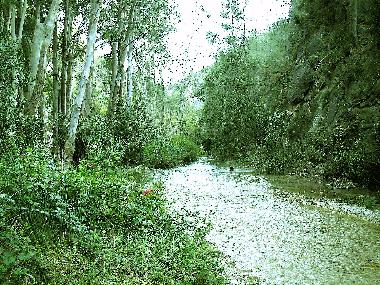 Casa de vacaciones en Nerja (Mlaga)Casa de vacaciones