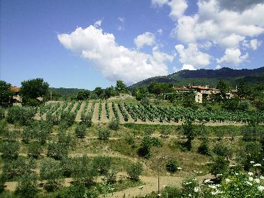 Casa de vacaciones en Loro Ciuffenna (Arezzo)Casa de vacaciones