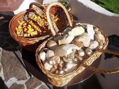 Apartamento de vacaciones en G�riach bei Mariapfarr (Lungau)Casa de vacaciones