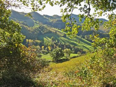 Cama y desayuno en Sassocorvaro (Pesaro e Urbino)Casa de vacaciones