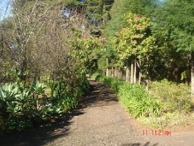 Casa de vacaciones en Funchal (Madeira)Casa de vacaciones