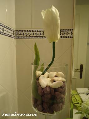 Apartamento de vacaciones en funchal (Madeira)Casa de vacaciones