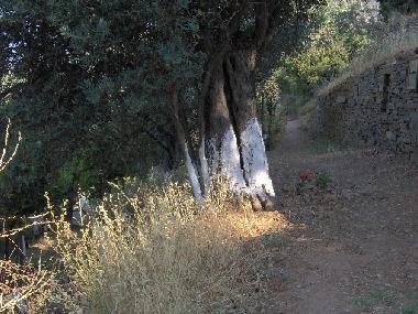 Casa de vacaciones en scholi (Kyklades)Casa de vacaciones