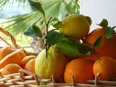 Villa en Alora (M�laga)Casa de vacaciones