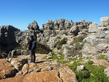 Villa en Alora (M�laga)Casa de vacaciones