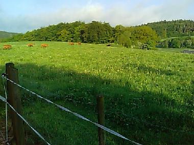 Apartamento de vacaciones en Loogh (Eifel - Ahr)Casa de vacaciones