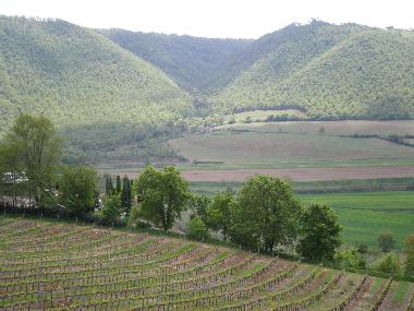 Casa de vacaciones en Piegaro (Firenze)Casa de vacaciones