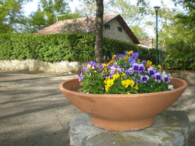 Casa de vacaciones en Piegaro (Firenze)Casa de vacaciones