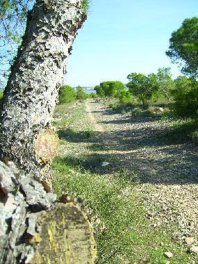 Apartamento de vacaciones en Torrevieja (Alicante / Alacant)Casa de vacaciones