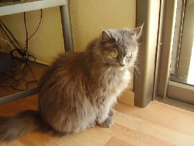 Apartamento de vacaciones en Tel Aviv (Tel Aviv)Casa de vacaciones