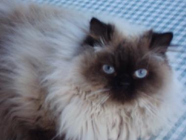 Apartamento de vacaciones en Tel Aviv (Tel Aviv)Casa de vacaciones