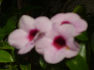 Apartamento de vacaciones en Tel Aviv (Tel Aviv)Casa de vacaciones