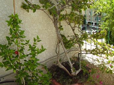 Apartamento de vacaciones en Tel Aviv (Tel Aviv)Casa de vacaciones