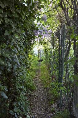 Apartamento de vacaciones en Montreuil (Seine-Saint-Denis)Casa de vacaciones