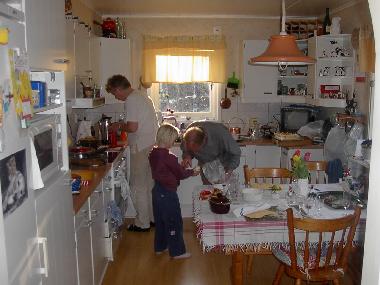 Villa en OLSFORS, BOLLEBYGD (Vstergtland)Casa de vacaciones