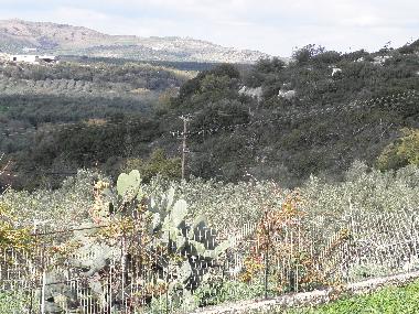 Apartamento de vacaciones en RETHYMNON (Rethymni)Casa de vacaciones