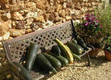 Casa de vacaciones en Rouffignac St Cernin (Dordogne)Casa de vacaciones