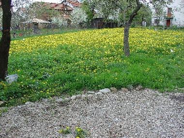 Casa de vacaciones en Dragushinovo  (Sofiya)Casa de vacaciones