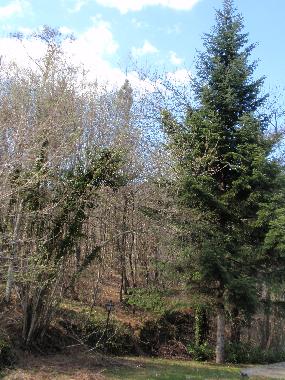 Casa de vacaciones en faltona (Arezzo)Casa de vacaciones