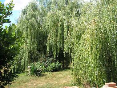 Casa de vacaciones en La Coudre (Deux-Svres)Casa de vacaciones