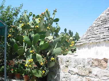 Casa de vacaciones en Ceglie Messapica (Brindisi)Casa de vacaciones