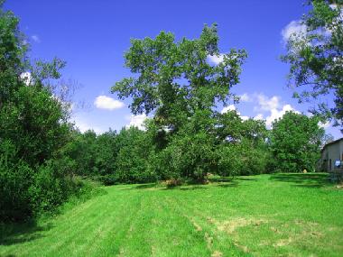 Apartamento de vacaciones en Pamiers (Ari�ge)Casa de vacaciones