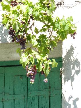 Casa de vacaciones en Valros (Hrault)Casa de vacaciones