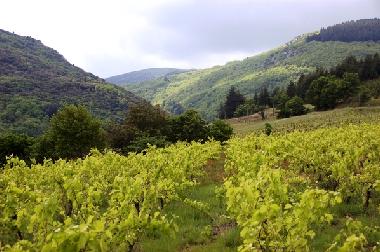 Casa de vacaciones en Cassagnoles (Hrault)Casa de vacaciones