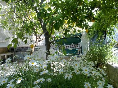 Apartamento de vacaciones en Trani (Bari)Casa de vacaciones