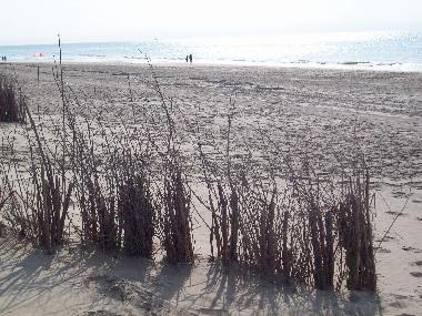 Casa de vacaciones en De Haan (Flandes)Casa de vacaciones