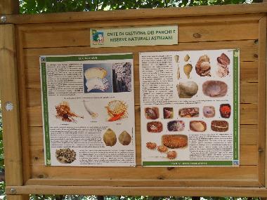 Cama y desayuno en Asti (Asti)Casa de vacaciones