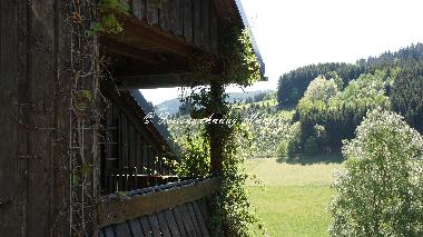 Apartamento de vacaciones en Schmallenberg - Westfeld (Sauerland)Casa de vacaciones
