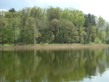 Cama y desayuno en Tomaszkowo (Warminsko-Mazurskie)Casa de vacaciones
