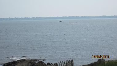 Casa de vacaciones en ploemeur(courgan) (Morbihan)Casa de vacaciones