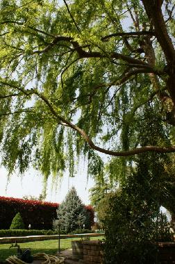 Casa de vacaciones en Korinthos (Korinthia)Casa de vacaciones