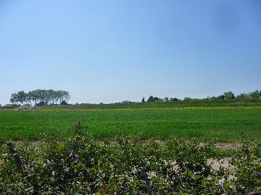 Villa en lattes (H�rault)Casa de vacaciones