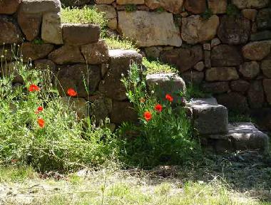 Apartamento de vacaciones en St.Pierre-St.Jean (Ardche)Casa de vacaciones