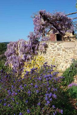 Apartamento de vacaciones en St.Pierre-St.Jean (Ardche)Casa de vacaciones